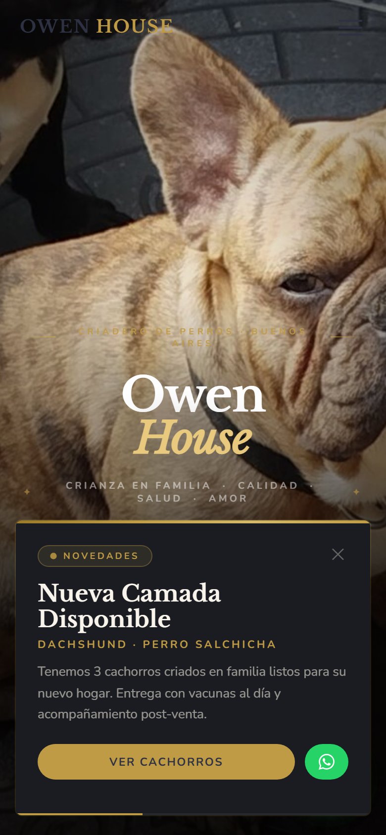 Owen House en celular