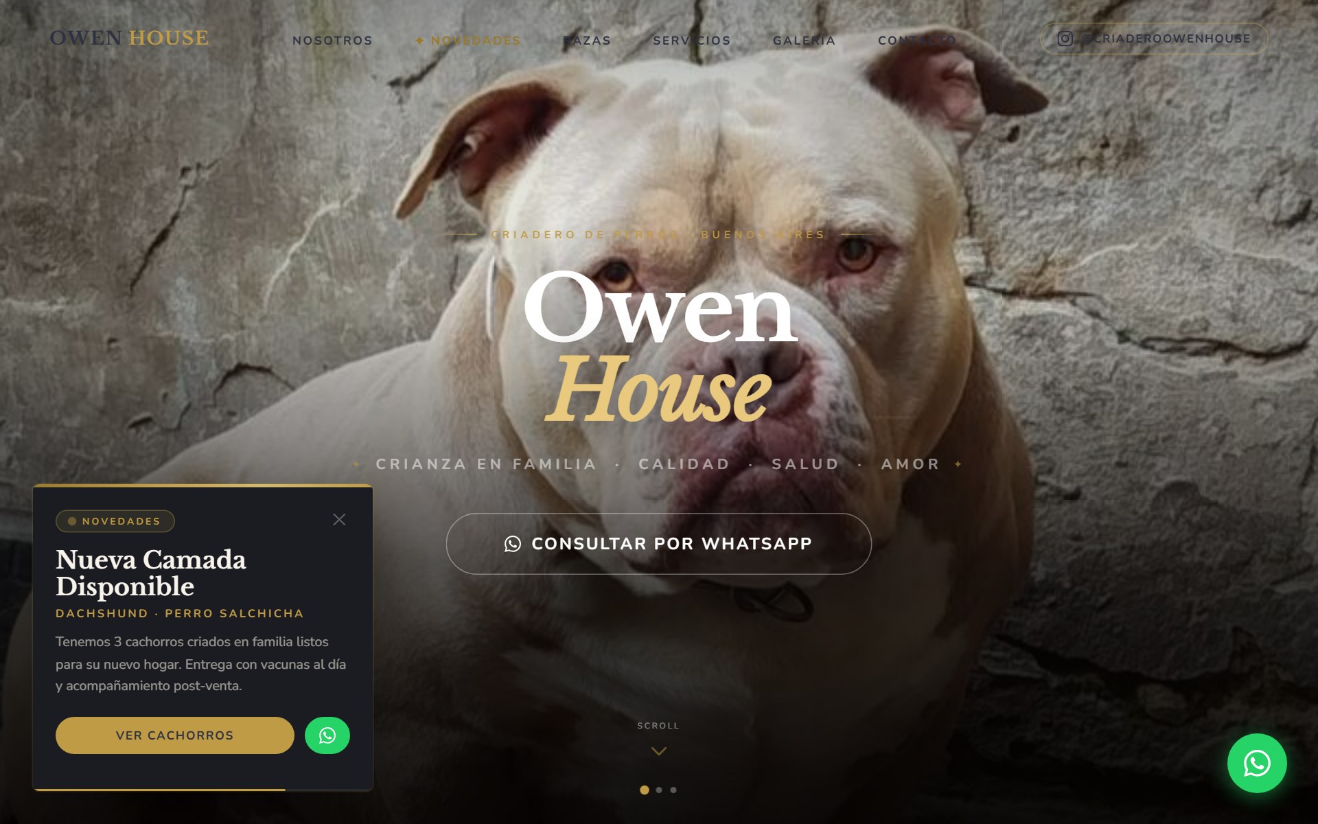 Owen House Criadero — preview del sitio