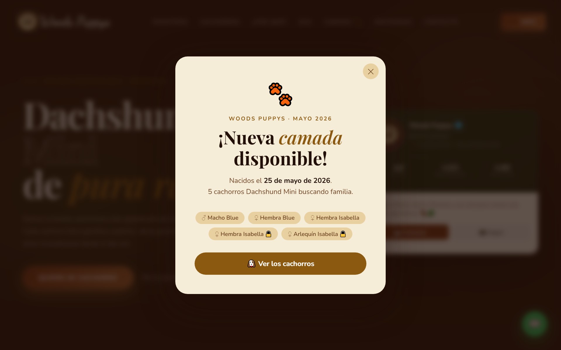 Woods Puppys — preview del sitio